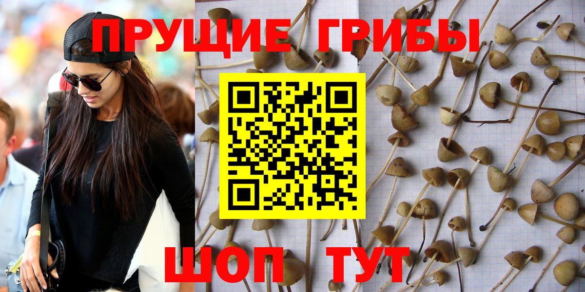 Галлюциногенные грибы ЛСД  Вход с VPN  Псилоцибиновые грибы мицелий  Армавир 